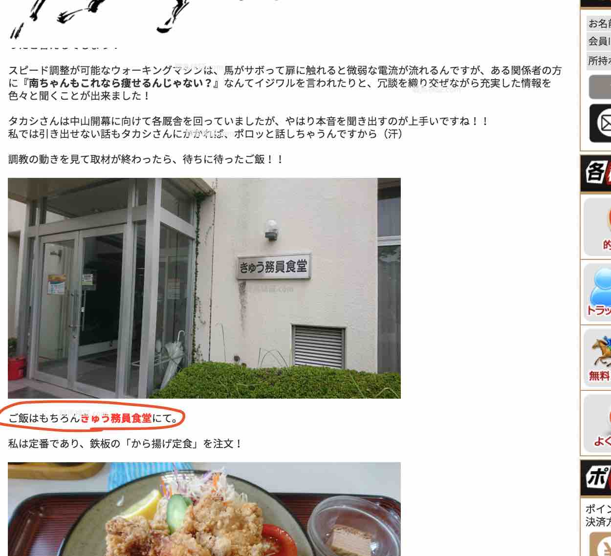 週刊競馬ナックルという競馬予想サイトの無料コンテンツの南丸がゆく!